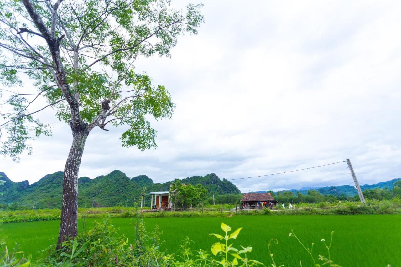 Pomelo Homestay Фонг Нха Екстериор снимка