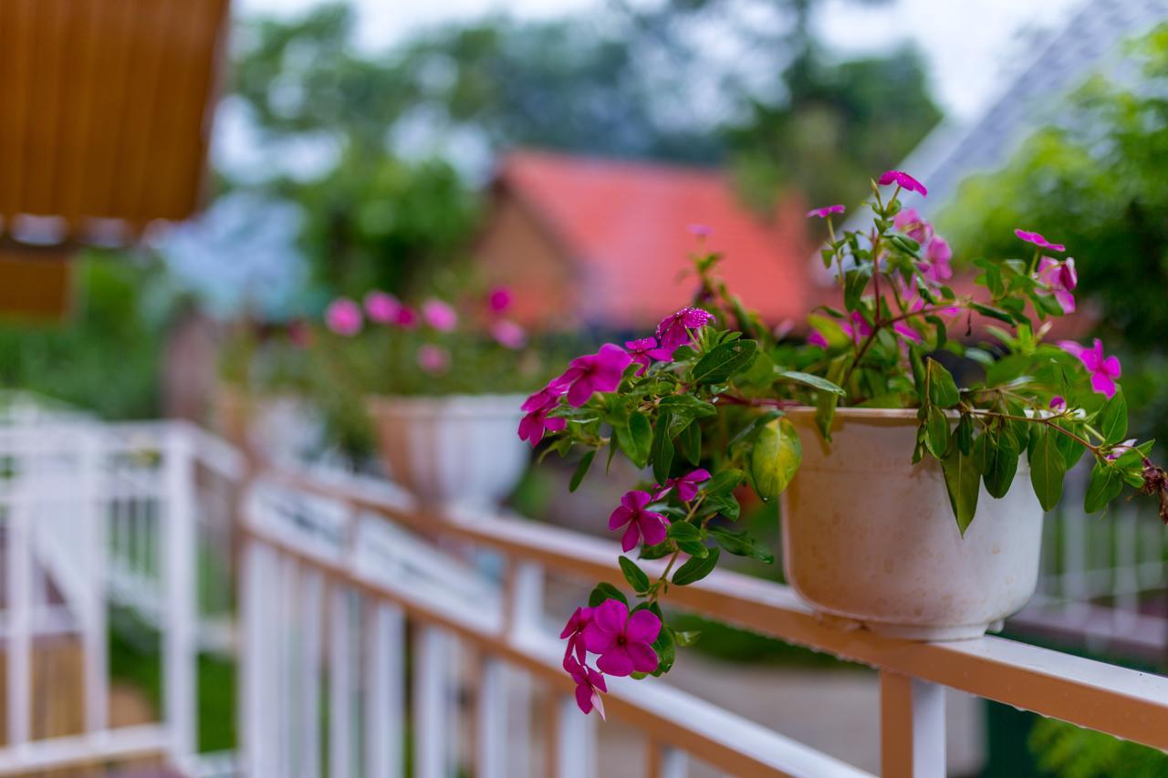Pomelo Homestay Фонг Нха Екстериор снимка