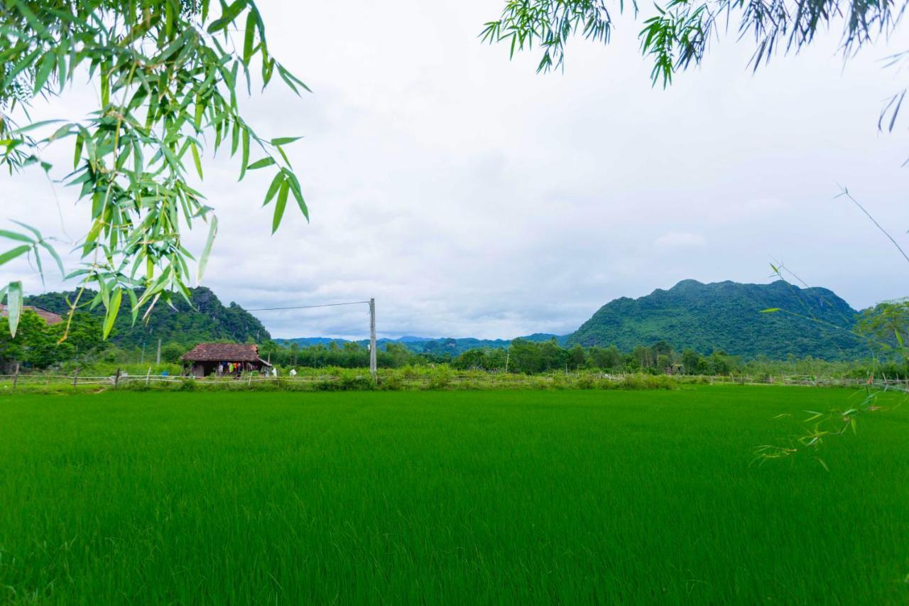Pomelo Homestay Фонг Нха Екстериор снимка